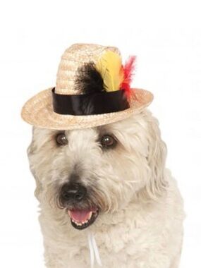 Rubie's Straw Fedora Dog Hat with Black Band and Multicolor Feathers